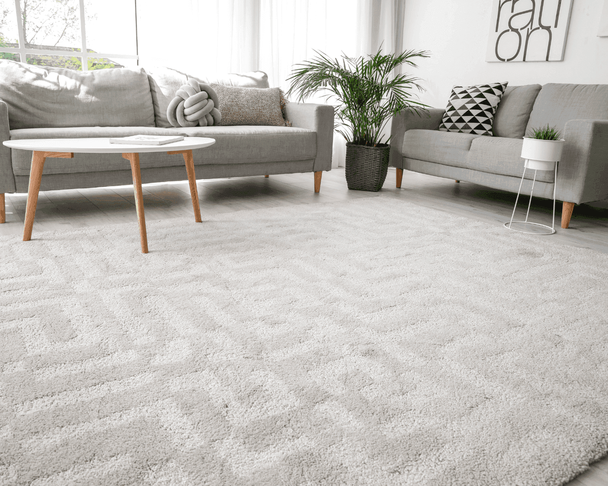Area Rug Cleaning